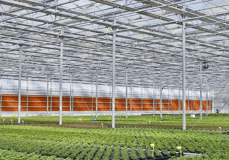 中央一号文件明确指出：2023年设施农业这样干！(图5)