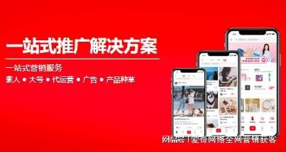 seo优化网站外包公司(图1)